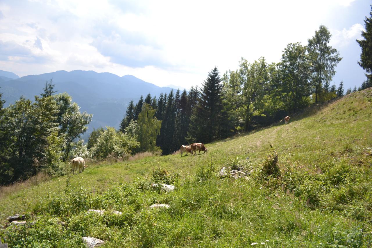 Gasthof Oberer Gesslbauer Stanz Im Murztal Kültér fotó