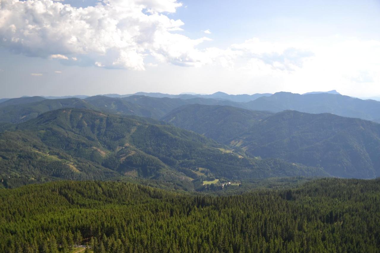 Gasthof Oberer Gesslbauer Stanz Im Murztal Kültér fotó
